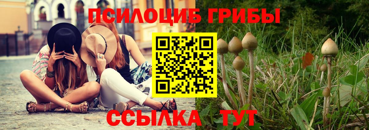 Галлюциногенные грибы прущие грибы Зеленодольск